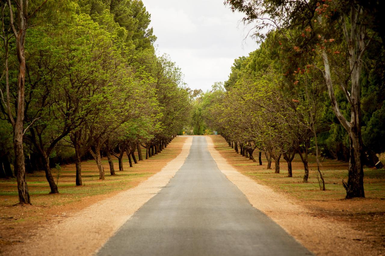 Renmark Country Club Exterior photo