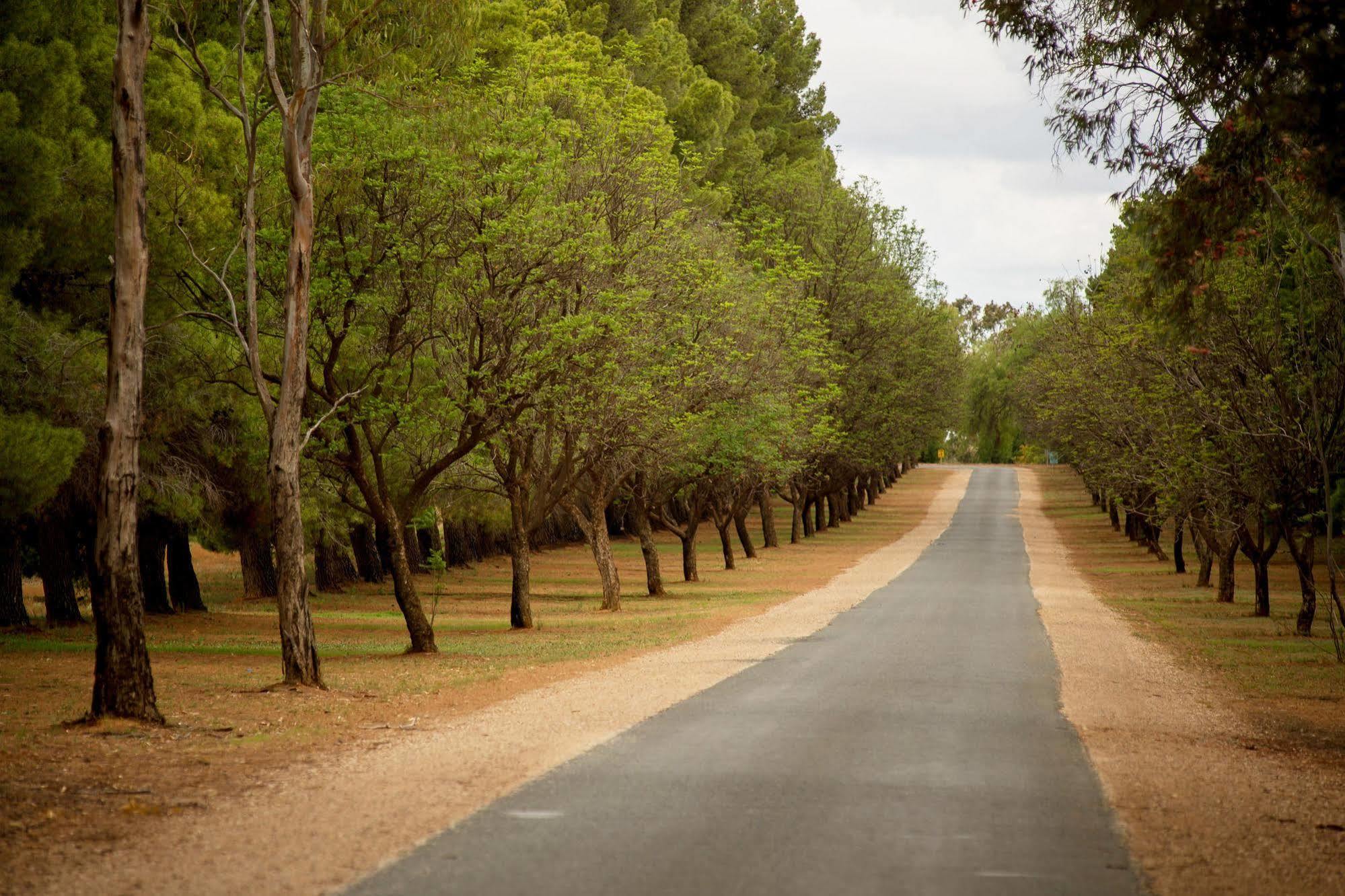 Renmark Country Club Exterior photo