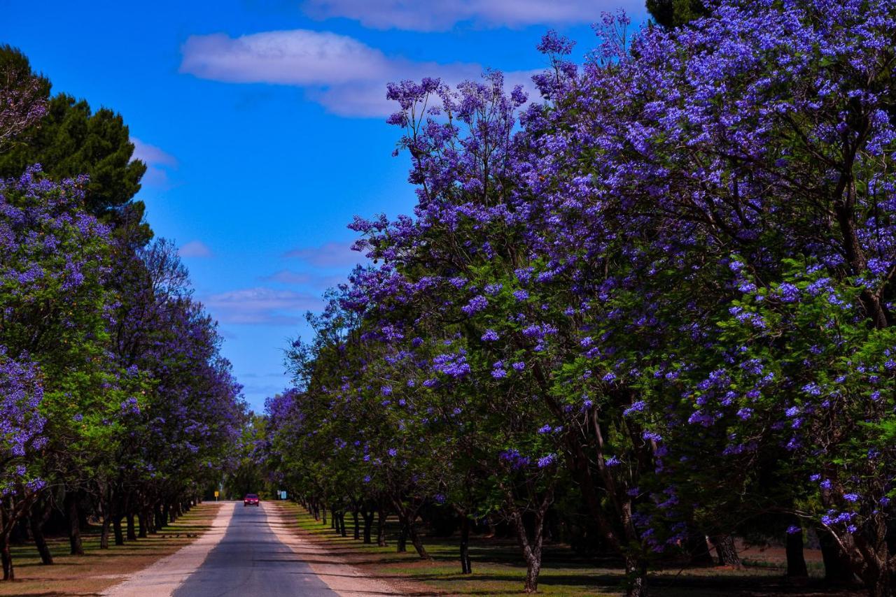 Renmark Country Club Exterior photo