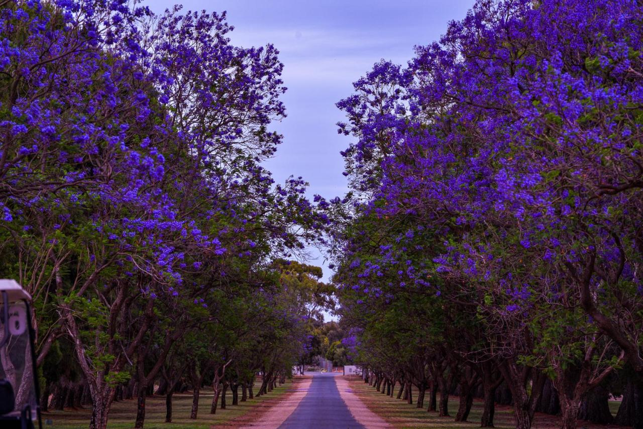 Renmark Country Club Exterior photo